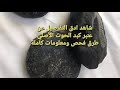 طريقة فحص عنبر كبد الحوت الأصلي فقط معلومات كاملة 