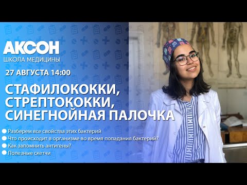 Стафилококки (продолжение) и синегнойная палочка