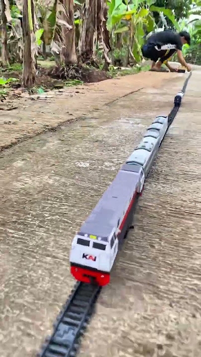 Palang pintu kereta api menyala ketika kereta api cc206 datang #keretaapi #palangpintukeretaapi