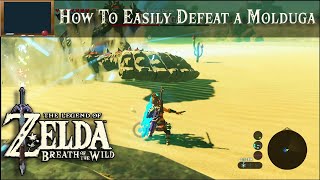 How To Easily Defeat a Molduga | The Legend of Zelda, BOTW Tutorial