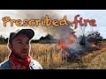 The best thing you can do to your property  prescribed burn  wildlife management ep2