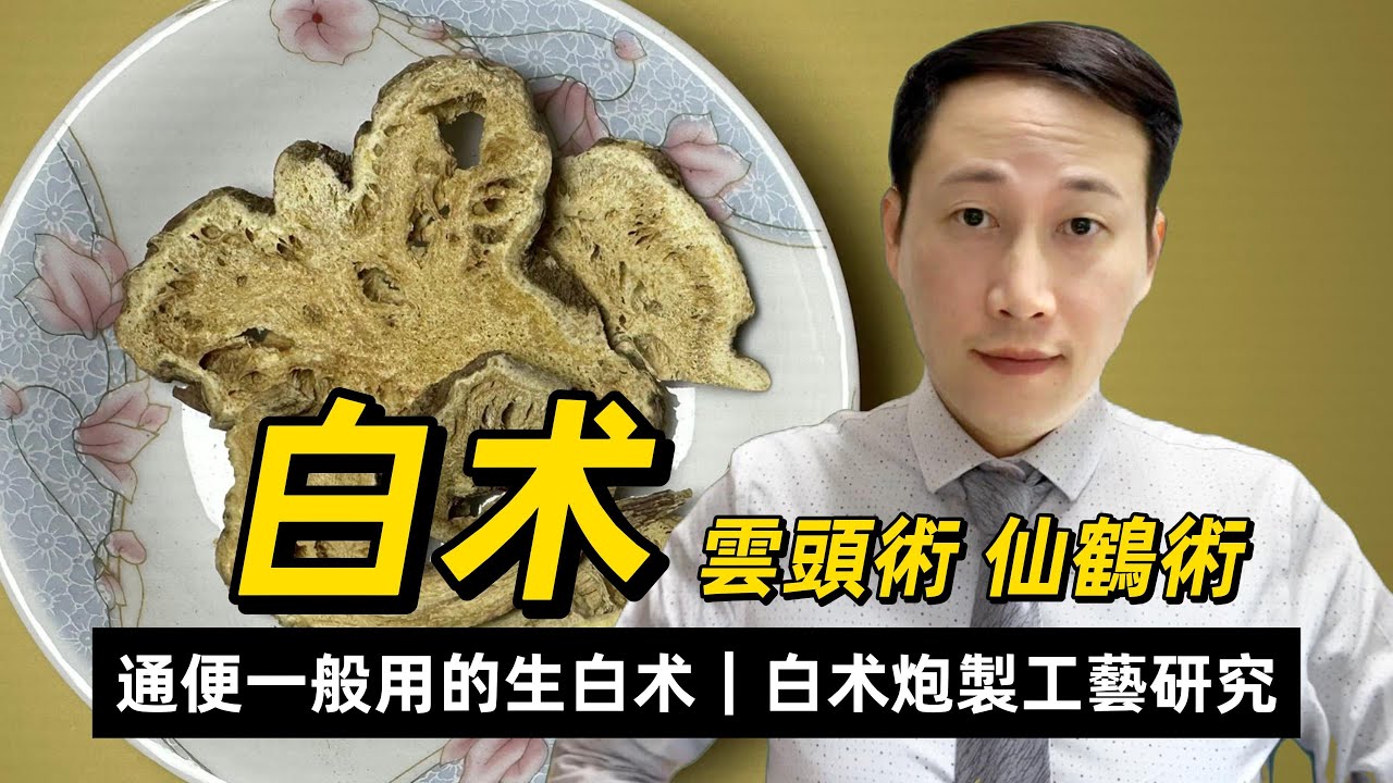 白术，北參南术的補氣健脾第一要藥，點解通便用生白术? 制過的白术有何不同？