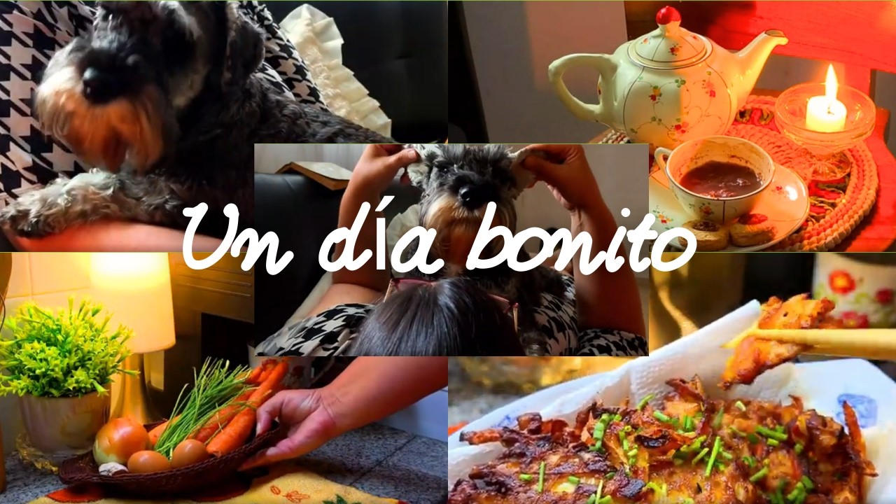 Fin de Semana Tranquilo con Paquita 🐾 | Frituras Coreanas y Feria Local