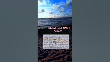 تلاوة خاشعة 🫀😌.                      #القرآن_الكريم  #تلاوة_خاشعة #اكسبلور #تلاوة #سورة #فصلت #قرآن