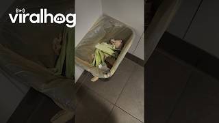 Whos Shucking Corn in the Fast Food Bathroom? || ViralHog