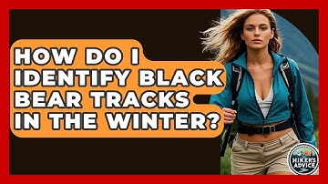 How Do I Identify Black Bear Tracks In The Winter? - The Hiker