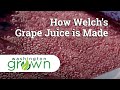 How welchs grape juice is made  washington grown