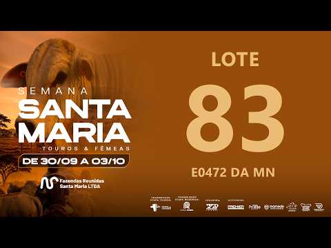 LOTE 83 LBMN E472