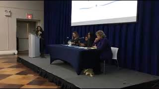 UN CSW62 WIN panel  Powerful narrative on socio economic issues in Napa Valley. 2018