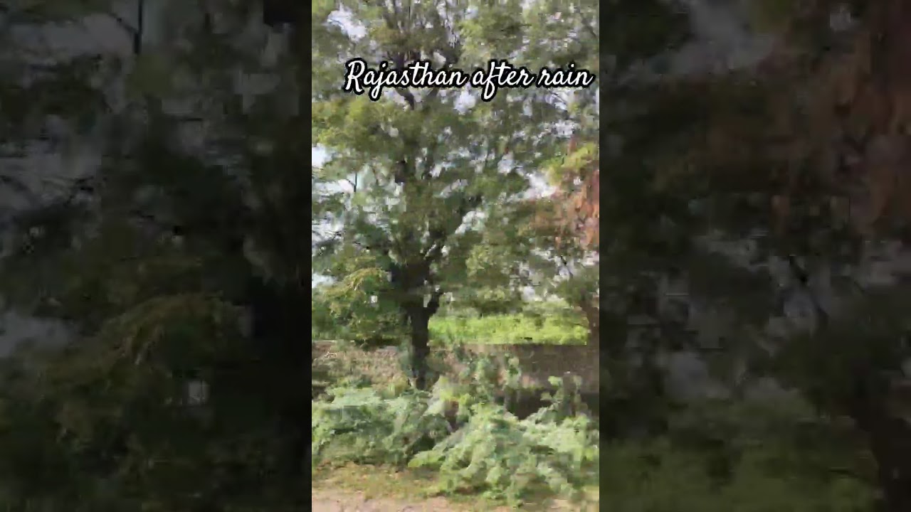 view😍 after rain in rajasthan 🌊