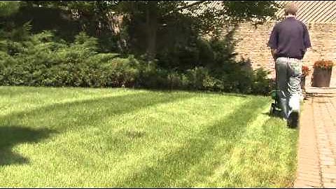 Scotts Turf Builder EdgeGuard Mini Broadcast Spreader  Patio, Lawn & Garden