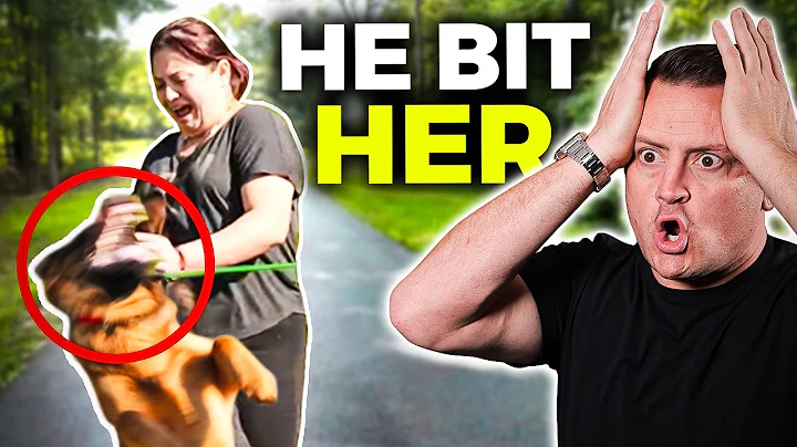 Aggressive German Shepherd Attacks Owner - Can I FIX Him?