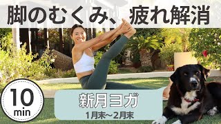 【1月- 2月 水瓶座新月ヨガ】脚のむくみ、疲れ解消ヨガ | Wellness To Go by Arisa by Wellness To Go 14,930 views 1 year ago 11 minutes, 31 seconds