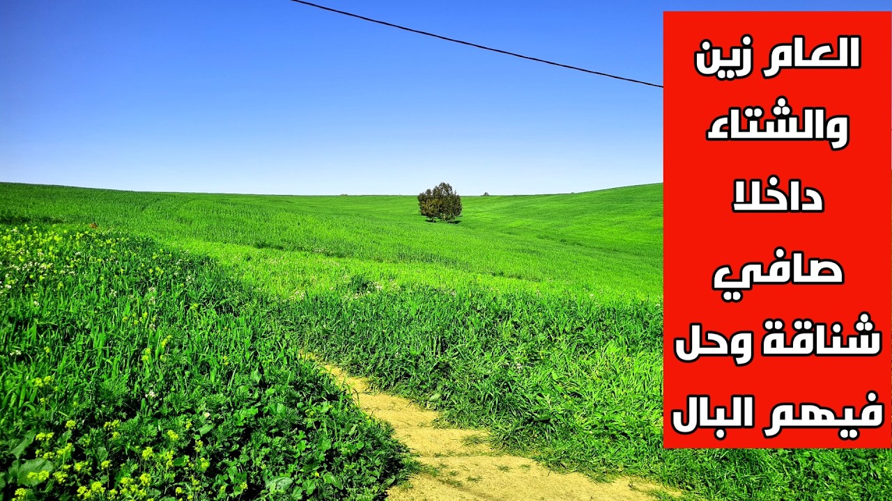 2026 موسم فلاحي تاريخي الزرع ولا تيغبي والشناقة حصل فيهم البال