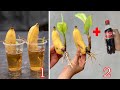 Summary of 3 extremely simple and super effective methods of propagating banana plants at home