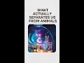 👉What Actually Separates Us From Animals? 🤯 #psychology #shorts