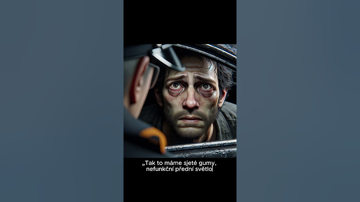 Policie zastaví auto 👮🏼‍♂️