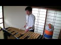【千と千尋の神隠し】あの夏へをビブラフォンで演奏してみた / One Summer's Day 【Vibraphone】