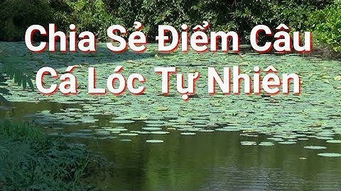 Chia sẻ Điểm Câu Cá Lóc Tự Nhiên Tại Quận 02 Sài Gòn | Cha Già Vlogs