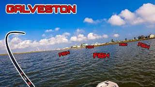 This is the EASIEST Spot to Catch Fish in Galveston