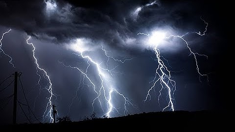 (الحزب 49) سورة فصلت الآية 47 إلى 54 ، سورة الشورى الآية 1 إلى 12 القارئ ياسر سلامة
