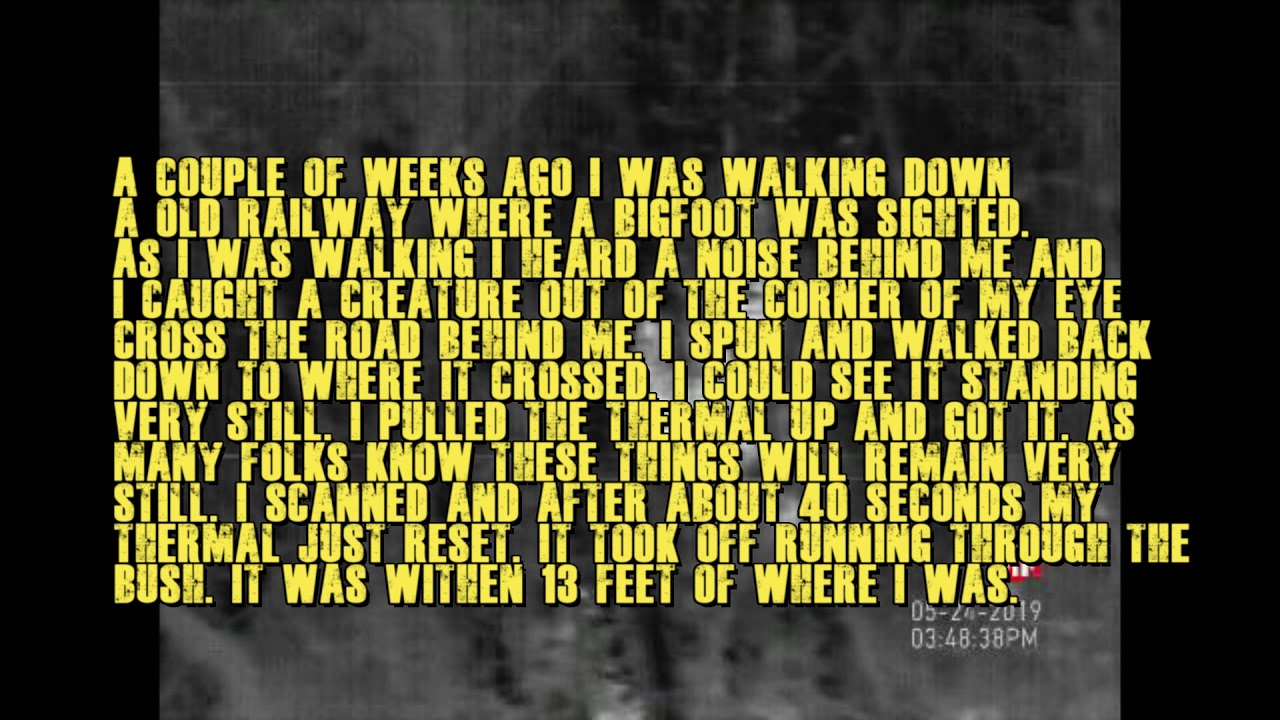 Alabama Bigfoot A Bigfoot thermal that was very close....