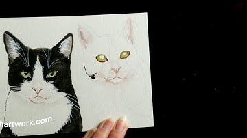 Watercolor pet portrait painting "Leo & Theo" black and white tuxedo cat time lapse by Halie French