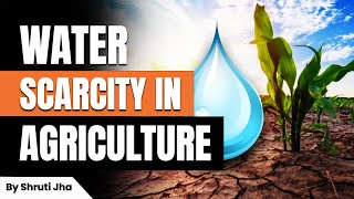 Rome Declaration on Water Scarcity in Agriculture | Ecoholics