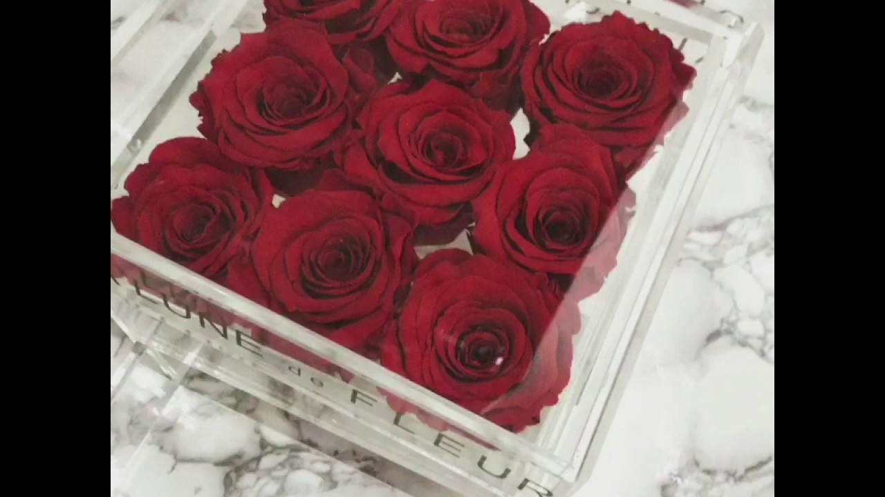 Le Grandiose Carre Box Ruby Red L Alalune De Fleur L