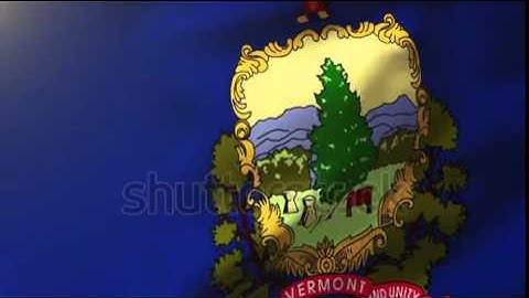 vermont flag waving in the wind. Looping sun rises style. Animation loop Stock video by