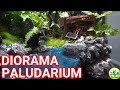 【アクアDIY】 ジオラマ／廃墟テラリウム☆Diorama Broken aquarium