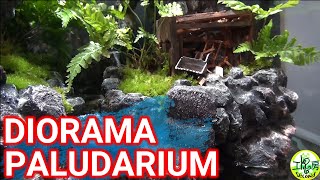 【アクアDIY】 ジオラマ／廃墟テラリウム☆Diorama Broken aquarium