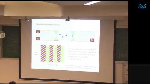 Ady Stern - Quantum Computation -- Some News from the Topological Front