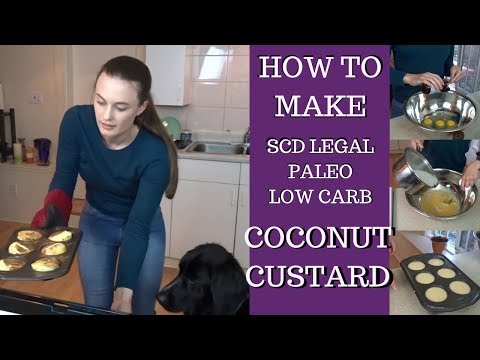 How to Make SCD Friendly Custard (LOW CARB, PALEO, GLUTEN FREE, NO SUGAR)