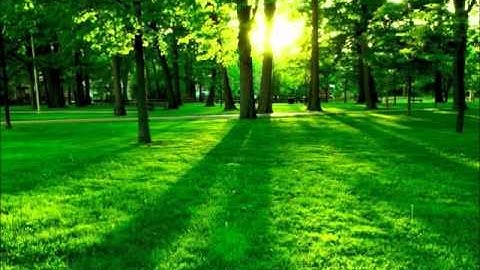 سورة الفرقان / الشيخ بن شعبان توفيق الجزائري