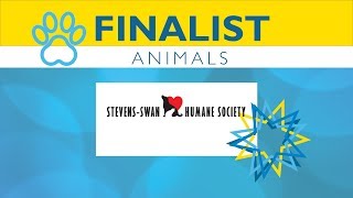 Stevens-Swan Humane Society _ Community Choice Awards Finalist