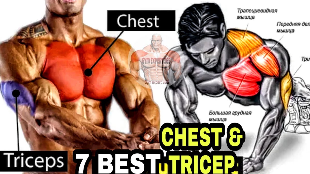 7 BEST CHEST AND TRICEP WORKOUT FOR MASS & FAT BURN 2020 YouTube