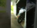 Kawasexy Mad
