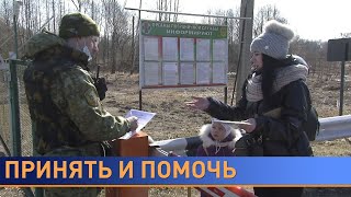 «Чужого горя не бывает». Как белорусы принимают украинских беженцев