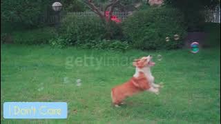 Sella Selly - I Don't Care