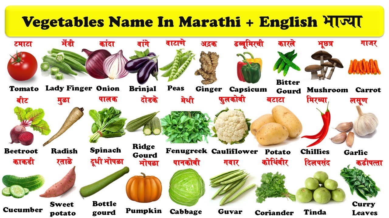 vegetable essay in marathi