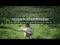 [ Vietsub   Lyrics ] Dandelions - Ruth B ✿