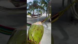 Caye Caulker is a small island in the Caribbean Sea off the coast of Belize. A tropical paradise.