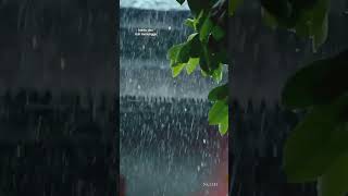 Download Lagu story wa lirik lagu Noah #storywa #liriklagu #liriklaguindonesia #naoh MP3