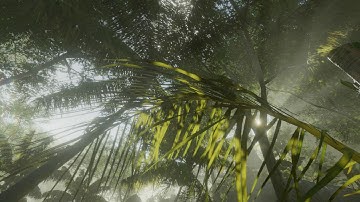 Tropical Forest Pack 1.1 beta01