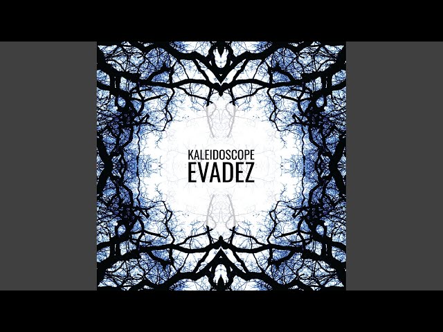 Evadez - The Streets