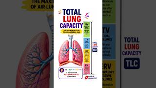 Total Lung Capacity Explained in 60 Seconds! 🫁🔥 #Biology #Science #Medical #Shorts