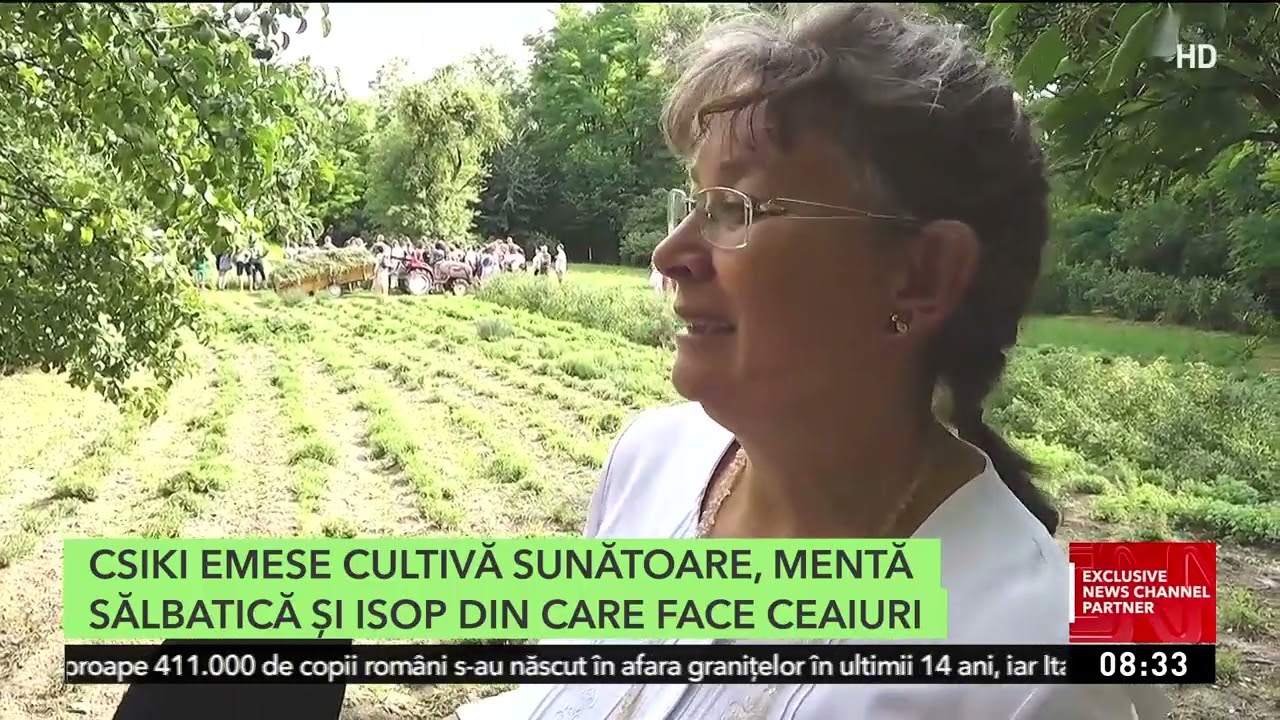 Grădina cu plante vindecătoare de la Avrămeşti, o cultură românească 100% naturală
