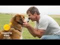 Життя і мета собаки - трейлер (український)