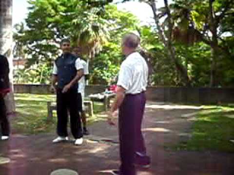 Shaolin Chang Chung Long Fist Kung-fu Dominicano Master Felipe Suarez 02